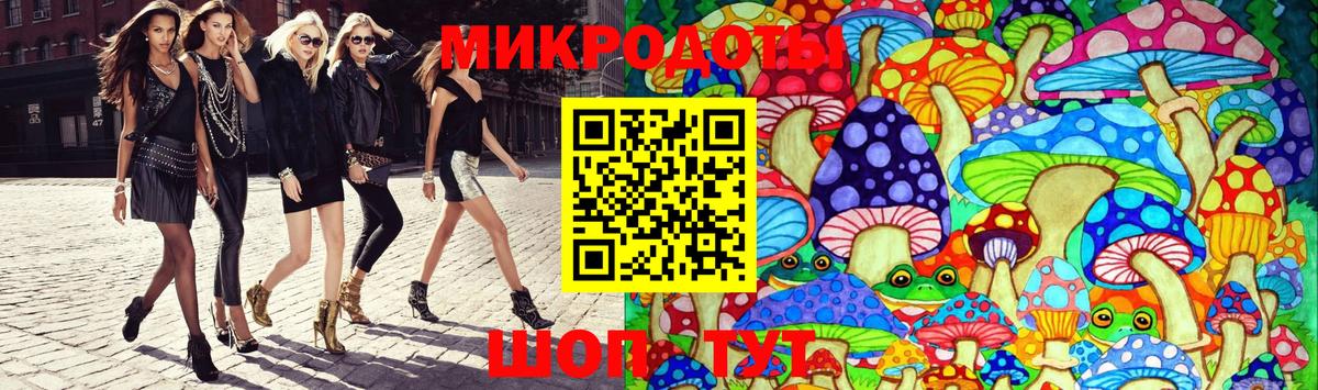 Кызыл  как найти   Вход с VPN  Псилоцибиновые грибы Cubensis 